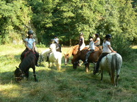 Bienvenue aux Poneys Bleus !